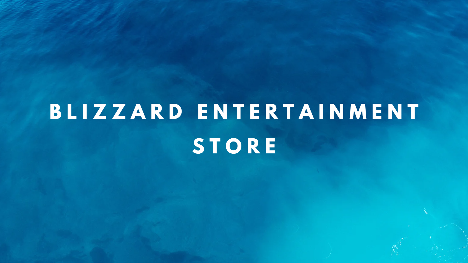 Blizzard Entertainment Store