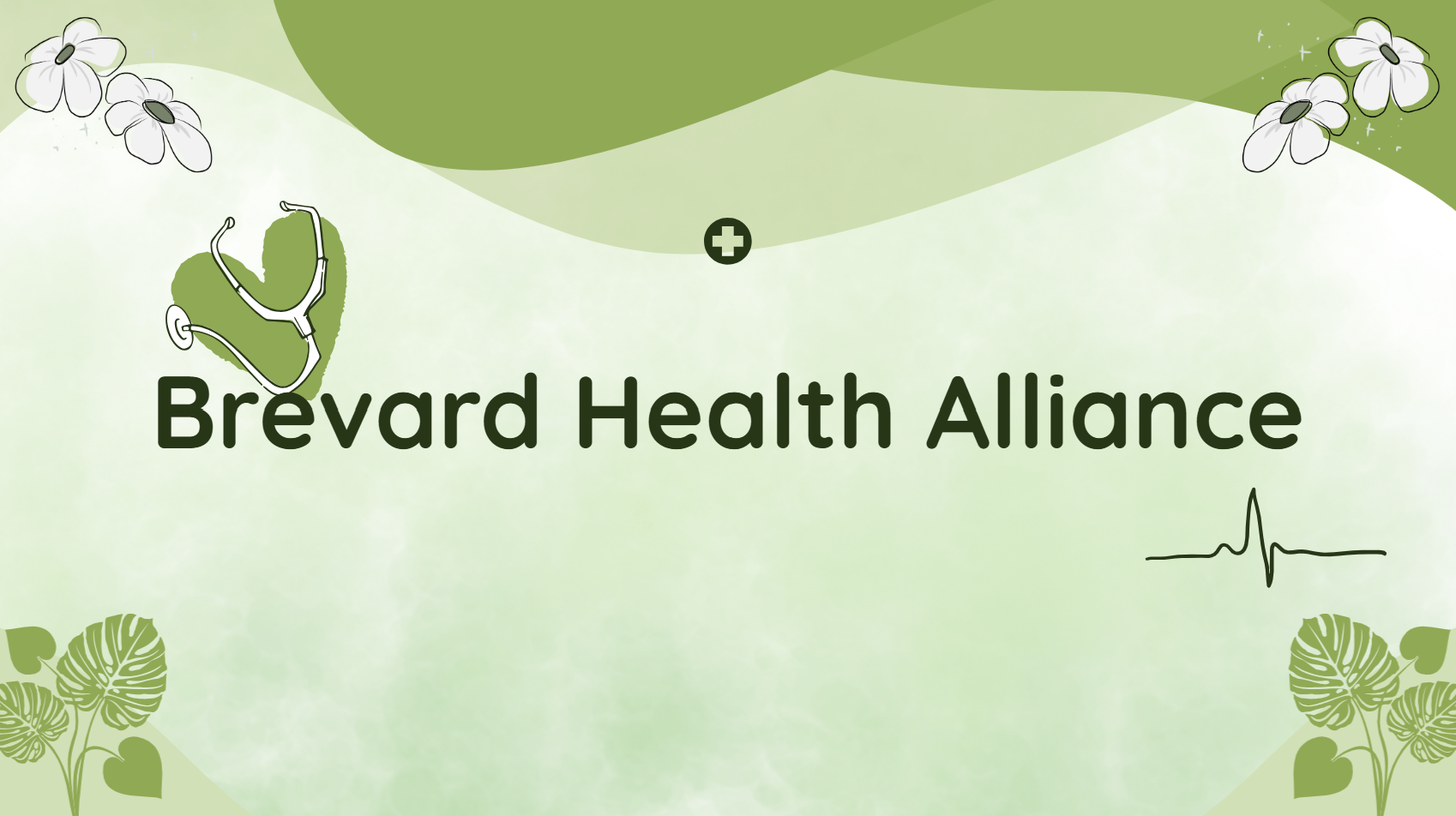 Brevard Health Alliance
